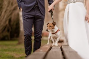 2020_02_29_Mia i Hrvoje-33