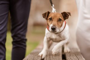 2020_02_29_Mia i Hrvoje-37