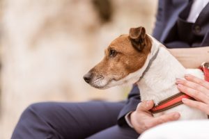 2020_02_29_Mia i Hrvoje-71