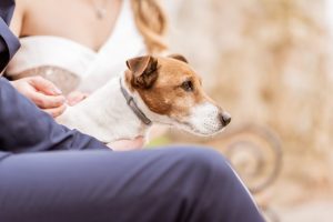 2020_02_29_Mia i Hrvoje-72