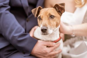 2020_02_29_Mia i Hrvoje-77