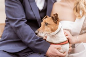 2020_02_29_Mia i Hrvoje-80